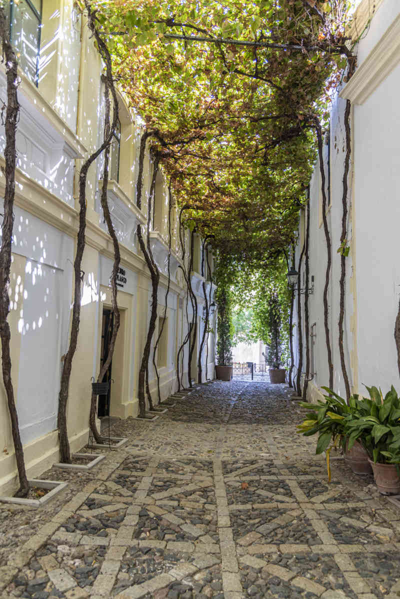 Cádiz - Jerez de la Frontera 59 - bodegas Gonzalez Byass - calle Ciegos.jpg